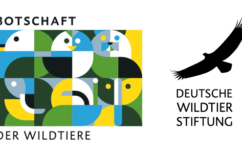 Logos Botschaft der Wildtiere und Deutsche Wildtier Stiftung